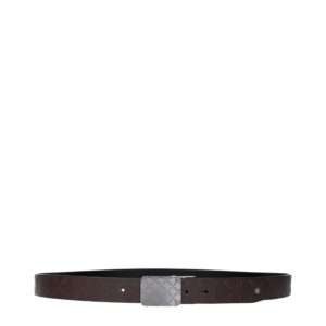 Brown Leather Regular Belt